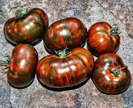 RJ 30+ CHOCOLATE STRIPE TOMATO SEEDS - HEIRLOOM - ORGANIC - NON GMO - £4.69 GBP