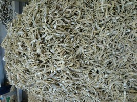 200g Malaysian Anchovies Anchovy Dried Fresh Yummy Seafood Fish - £27.20 GBP