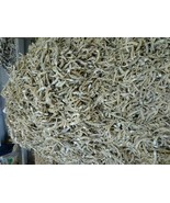 200g Malaysian Anchovies Anchovy Dried Fresh Yummy Seafood Fish - £27.22 GBP