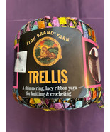 Lion Brand TRELLIS Bulky Weight Nylon Ladder Ribbon yarn #306 Pastel Garden - £3.11 GBP