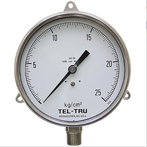 TEL-TRU 6030SS2L1C4DE Flange Panel Dry gauge 25 kg/cm² 6 SS - $3,051.21 MXN