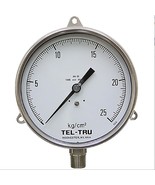 TEL-TRU 6030SS2L1C4DE Flange Panel Dry gauge 25 kg/cm² 6 SS - $224.79 CAD