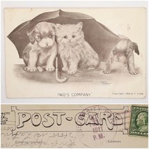 Puppy Kitten Friends 2&#39;s Company 3&#39;s A Crowd Colby c.1911 Purple Doane P... - £12.11 GBP