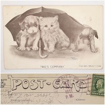 Puppy Kitten Friends 2&#39;s Company 3&#39;s A Crowd Colby c.1911 Purple Doane Postcard - £12.36 GBP