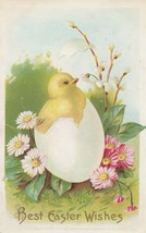 Vintage Postcard Easter Chick Hatches from Egg Pink and White Daisies Embossed - £7.11 GBP