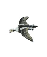 Decal Vinyl Sticker Yellow Head Duck - Printed Vinyl Decal Made in USA - $6.95+