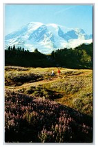 View of Mount Rainier National Park WA UNP Chrome Postcard S12 - £2.37 GBP