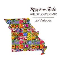 Wildflower MISSOURI State Flower Mix Perennials Annuals USA 1000 Seeds - £7.36 GBP