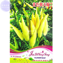 Pod Pepper Yellow Cluster of Hot Chili Vegetable Seeds 25 Seeds original pack ed - £5.51 GBP