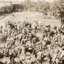Spanish American War Cavalry Guidon Army Railroad Train Real Photo Postcard - $78.99