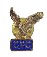 Combined Federal Campaign Lapel Pin CFC Gold Tone Eagle Blue Enamel C.F.... - £6.05 GBP