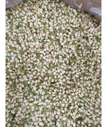 Dried Jasmine Buds - 100% Organic Healthy White Jasmine Flowers 1kg - $12.00