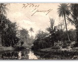 Vista IN Eden Giardini Calcutta India Udb Cartolina Y17 - £3.53 GBP