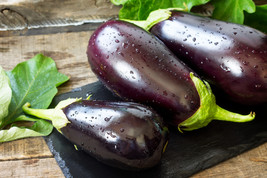 1000 Black Beauty Eggplant Solanum Melongena Esculentum Vegetable Seeds USA Ship - $14.20