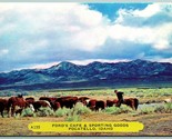 Ford&#39;s Cafe &amp; Sporting Goods Pocatello Idaho ID 1953 Chrome Postcard F5 - $14.80
