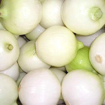 500 Crystal White Wax Pearl Onion Allium Cepa Vegetable Seeds - $8.35