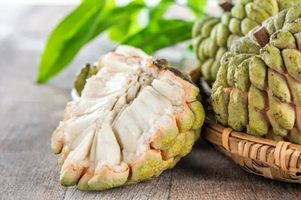 15 Sugar Apple Sweetsop Custard Apple Annona Squamosa Edible Fruit Tree Seeds Fr - £7.99 GBP