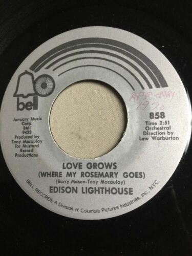 Edison Lighthouse - Love Grows/Every Lonely Day SINGLE VINYL Bell Records 1970 Item image 2