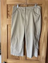 Tribal Stretch Extrnsive Capris Size 12 - $6.93