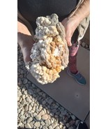 Hydrozincinte / Crinoids ~ Specimen - Large - $71.74 CAD