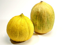 25 Crenshaw Melon Seeds Nongmo Fresh Harvest For 2024 GardensFrom US  - £6.45 GBP