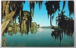 Florida Postcard Tarpon Springs Cabin Cruiser On Lake Tarpon - £2.33 GBP