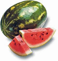 Watermelon Seed, Florida Giant, Heirloom, Organic 500 Seeds, Non Gmo, Melon - $8.99