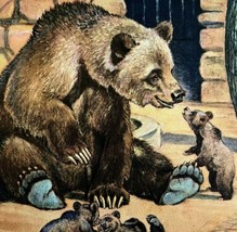 Grizzly Bear And Cubs 1954 Art Print Paul Bransom Marlin Perkins Zoopara... - £31.85 GBP