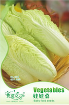 Worldwide Shipping 10 Packs 30 Seeds / Pack Fresh Chinese Baby Cabbage Vegetable - £17.98 GBP