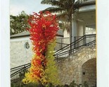 Chihuly at Fairchild Tropical Botanic Garden Walking Tour Brochure 2006 ... - $17.82