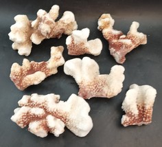2 Lbs White-Brown Coral, 7 Pieces Aquarium Decorations, Vintage OBO - $521.49 MXN