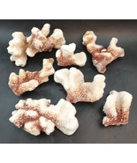 2 Lbs White-Brown Coral, 7 Pieces Aquarium Decorations, Vintage OBO - $521.49 MXN