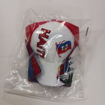 Parquet Haiti Mens Back Strap White Cotton Baseball Cap Hat + Haiti Flag Bandana image 14