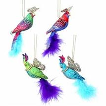 Gisela Graham Set 4 Fantasy Parrots with Feathers Hanging Christmas Decoration B - £46.68 GBP