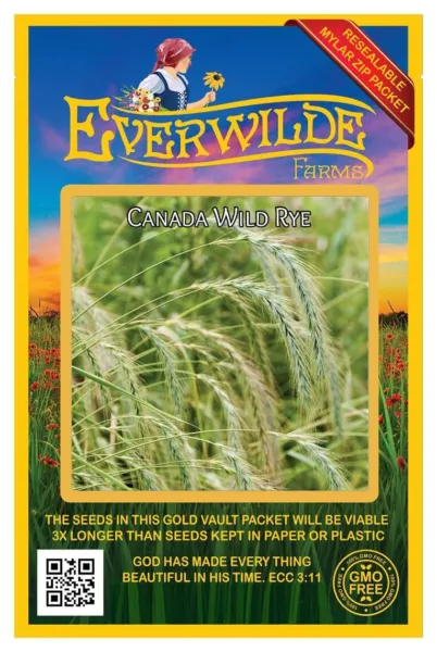 500 Canada Wild Rye Native Grass Seeds - Everwilde Farms Mylar Seed Packet - £8.25 GBP
