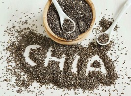 Indian Premium Chia Seeds,Protein and Fibre Rich/ free ship Best Quality - $11.51+