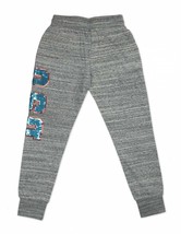 DELAWARE STATE UNIVERSITY Jogger Pants HBCU Fashion Gym Jogger sweatpants  - £24.03 GBP