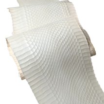 Pearlized Real Elaphe Snakeskins Snake Skins Leathers Hides White 5.25x50&quot; - $387.91 MXN