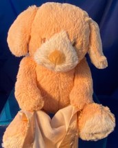 Gund Peek A Boo Puppy Dog Animated Plush Stuffed Animal Toy Works See Video - $18.49