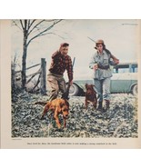 1958 Magazine Photo Irish Setter Hunting Dogs &amp; Hunters with Shotguns - £10.95 GBP