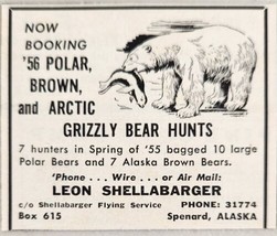 1955 Print Ad Polar, Brown, Grizzly Bear Hunts Leon Shellabarger Spenard,Alaska - £5.49 GBP