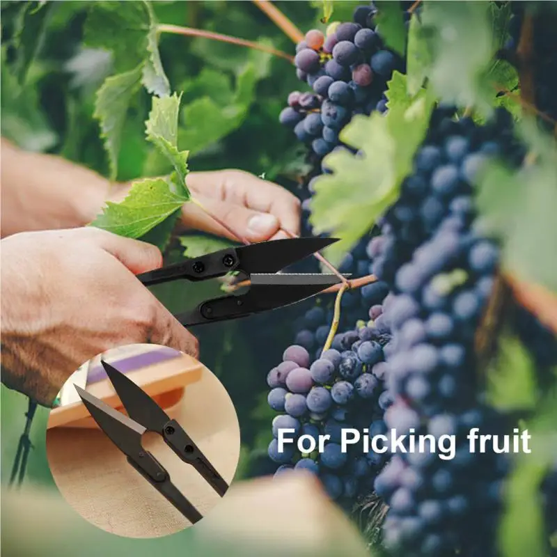 Pruning Shears  Steel Garden Tming Tool Plants Flower Bonsai Scissors Bu... - $49.16