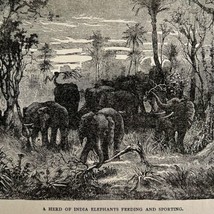 Indian Elephant Herd Feeding Woodcut Print 1887 Victorian Antique Art DWEE19 - £39.32 GBP