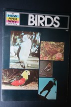 Vtg The How &amp; Why Wonder Book Birds 1976 Education Home School Science - $14.99