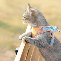 Stylish Cat Traction Vest: A Fashionable and Safe Way to Walk Your Cat - £15.78 GBP+