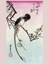 6053.Asian floral nature painting Poster.Bird.Japan Wall Art Decorative.Design - £12.94 GBP+