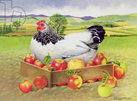 Hen in a Box of Apples chicken farm ceramic tile mural backsplash medallion - £46.94 GBP+