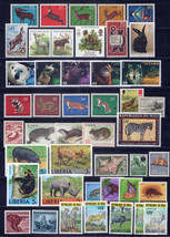 Wild Animals Stamp Collection All MNH Wildlife Zebra Rhinos Wolf ZAYIX 0... - $27.85
