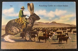 Postcard 1930&#39;s View of Punching Cattle on a Jack Rabbit Texas Panhandle - £3.13 GBP