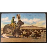 Postcard 1930&#39;s View of Punching Cattle on a Jack Rabbit Texas Panhandle - £3.12 GBP